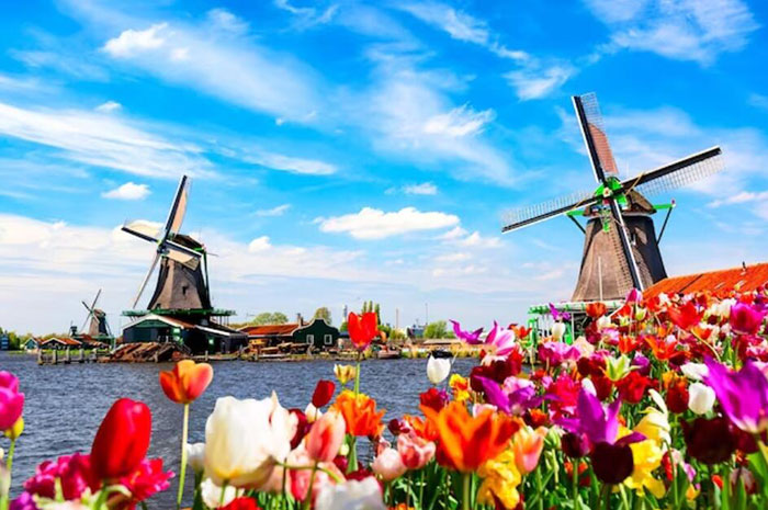 nederlandse topsteden
